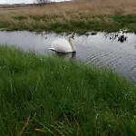 Le Temps Retrouve - 2 Ch - Calme, Fibre & Balcon 公寓 凯恩