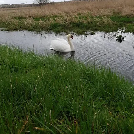Lumineux T3 Avec Balcon Proche Centre Appartamento Caen