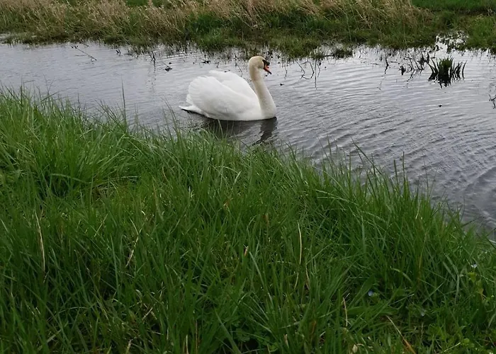 Lumineux T3 Avec Balcon Proche Centre Lejlighed Caen